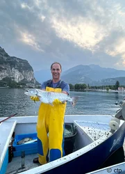 Alberto Rania ist der einzige Fischer im Norden des Gardasees. Wenn er früh morgens rausfährt, weiß er nie, ob die Netze leer sind oder ob er wie heute einen großen Fang gemacht hat.