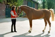Die 15-j&auml;hrige Alina (Marett Katalin Klahn) hat ein sicheres Gesp&uuml;r f&uuml;r Pferde. Auch Silverado frisst ihr aus der Hand - vor seinem traumatischen Erlebnis.