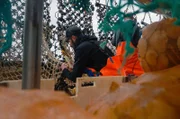 In der Normandie befinden sich die traditionell arbeitenden Fischer mit den industriellen Fischern angesichts des ungleichen Wettbewerbs in einem Kampf à la David gegen Goliath.