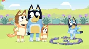 L-R: Chilli, Bandit, Bingo und Bluey