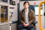 Dr. Shaun Murphy (Freddie Highmore)