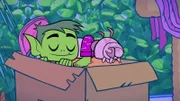 v.li.: Beast Boy, Silkie