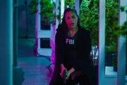 Special Agent Sheryll Barnes (Roxy Sternberg)
