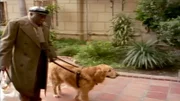 Seit Jahr und Tag ist Blindenhund Buff seinem Herrchen Lloyd (Bill Henderson) treu ergeben. Dort dann geschieht etwas gruseliges...