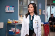 Dr. Audrey Lim (Christina Chang)