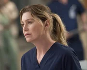 Dr. Meredith Grey