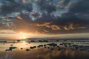 An der Spitze Südamerikas, zwischen Chile und Argentinien, liegt ein abgelegenes und vereistes Gebiet: Patagonien, ein Paradies für Tier- und Pflanzenwelt.