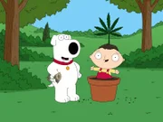 Als Brian (l.) wegen des Besitzes einer Kleinstmenge Marihuana verhaftet und eingesperrt wird, startet er nach seiner Entlassung aus dem Knast eine großangelegte Kampagne, um die Legalisierung der vermeintlich harmlosen Droge in Quahog zu erwirken. Stewie (r.) hilft ihm dabei.
