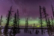 Polarlichter über der sibirischen Taiga.