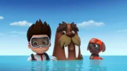 v.li.: Ryder, Wally, Zuma