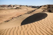 Die scheinbar unwirtliche Namib-Wüste an der Südwestküste Afrikas steckt voller Leben. Faszinierende Wüstenspezialisten teilen sich die gewaltigen Sanddünen mit Löwen, Elefanten und sogar Giraffen.