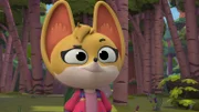 Kit
