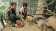Pia mit Tierpfleger Juan Malpartida bei der Fütterung der Kleinfleck-Ginsterkatzen im Mundo Park in der Nähe von Sevilla.