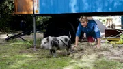 "Kommst du wohl her!" In Fritz Fuchs' (Guido Hammesfahr) hat sich ein Schweinchen verirrt - und heftiges Chaos angerichtet.