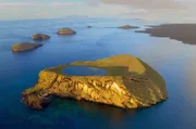 Fern im Pazifischen Ozean, vor der Küste Ecuadors, liegen die weitgehend von der Welt abgeschnittenen Galápagos-Inseln. Im Laufe der Jahrtausende hat sich hier eine weltweit einmalige Artenvielfalt entwickelt.