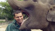 Knutschen mal anders - Tierpfleger Christian Wenzel wird vom Elefanten gek&uuml;sst.