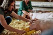 Schweinestall auf dem Kinne-Hof im Saarland: Veronika Ams (l.) und Monja Oechsle