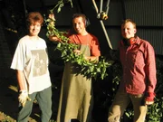 Willi Weitzel ist diesmal bei der Hopfenernte in der Hallertau dabei. Hier hält er eine meterlange Rebe in der Hand, die später weiterverarbeitet und zur Bierherstellung gebraucht werden. Willi Weitzel ist diesmal bei der Hopfenernte in der Hallertau dabei. Hier hält er eine meterlange Rebe in der Hand, die später weiterverarbeitet und zur Bierherstellung gebraucht werden.