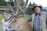 Bei Michl im Alpenwildpark in Obermaiselstein kommt Anna dem Platzhirsch Rudi ganz nah. Rothirsche leben in Rudeln und sind in der Wildnis sehr scheu.