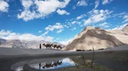 Ein Kamelhirte führt seinen Kamelzug über die Sanddünen, Nubra-Tal, Indien.