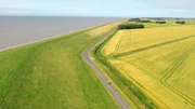 Zwischen Watt, Deich und Getreide: Dahingleiten auf dem Küstenradweg, oft ist man ganz für sich.