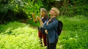 „Ruhe im Wald – bei ihrer Reise rund um NRW trifft Sabine Heinrich (r) die Wald-Bademeisterin Katharina, die ihr das Land am Fuß des Wiehengebirges und die Leute in Ostwestfalen näherbringt.