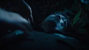Der Tatort: Toter Körper