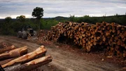 Skidder at loading site as seen on episode two of American Loggers.