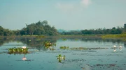 Der Tram Chim Nationalpark ist gerade einmal 76 Quadratkilometer groß, und einer der letzten ursprünglichen Flecken im riesigen Mekong Delta.