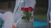 Rosen in der Vase