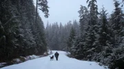 Tim 'Curly' Leach and his dog Junior walk along a creek bed to fish for steelhead.
