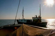 Die letzten Fischer von Volendam - unterwegs auf dem Jisselmeer