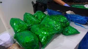Zollbeamte entdecken bei einer Gepäckkontrolle am Flughafen Barcelona-El Prat zehn Tüten mit Kokablättern. In Bolivien kann man die Pflanzen ganz legal einkaufen, aber die Einfuhr nach Spanien ist verboten.