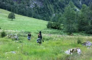 Musikanten auf dem Weg zur Saletalm.