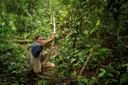 Hazen crouching in lush jungle pointing bow and arrow up into the trees hunting a bird.