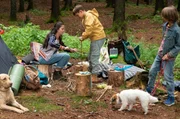 Ronja (Kaya Völkers, links), Liam (Nils Hofschneider, Mitte) und Sam (Yann Cosack, rechts) campen heimlich mit ihren Hunden im Wald.