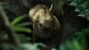 Das junge Triceratops-Mädchen Clover muss sich in der ersten Folge "Unter Dinos - Geheimnisse der Urzeit" alleine durchschlagen.