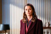 Erin Reagan (Bridget Moynahan)