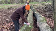 Förster Max und Lena markieren einen Baum, der geschnitten werden soll.