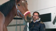 Der „Pferdeflüsterer“ Timo Ameruoso mit dem Rennpferd Silly.