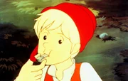 Der kleine Junge Nils Holgersson.