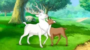 Der wei&szlig;e Hirsch findet seine Hirschkuh-Freundin wieder.