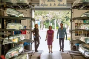 Mirrah Foulkes (Soroya Dass), Fiona Choi (Anita Durete), Ioan Gruffudd (Dr. Daniel Harrow).