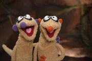 Die Erdmännchen Jan und Henry hören ein seltsames Geräusch, das sie vom Schlafen abhält.