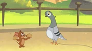 Jerry