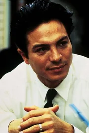 Neu dabei: Benjamin Bratt als Detective Reynaldo Curtis.
