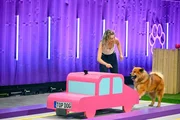 Verena Scholtz mit ihrem Eurasier Friedrich in Runde 1.