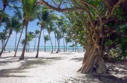 Die Antilleninsel Guadeloupe begeistert Besucher mit tropischem Klima und idyllischen Stränden.