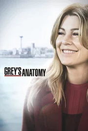 (15. Staffel) - Grey's Anatomy - Artwork