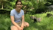 Ist der Marderhund ein Hund? 3